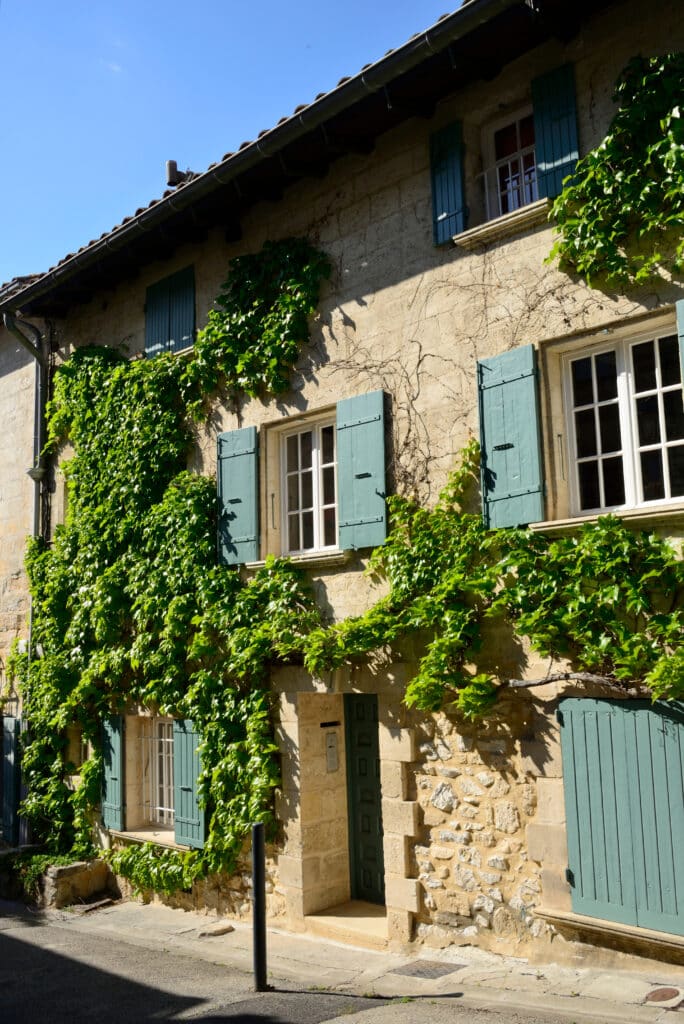Façade en pierre d'une maison de village ensoleillée, recouverte de vigne vierge aux feuilles vertes vives et dotée de volets bleu-vert.
