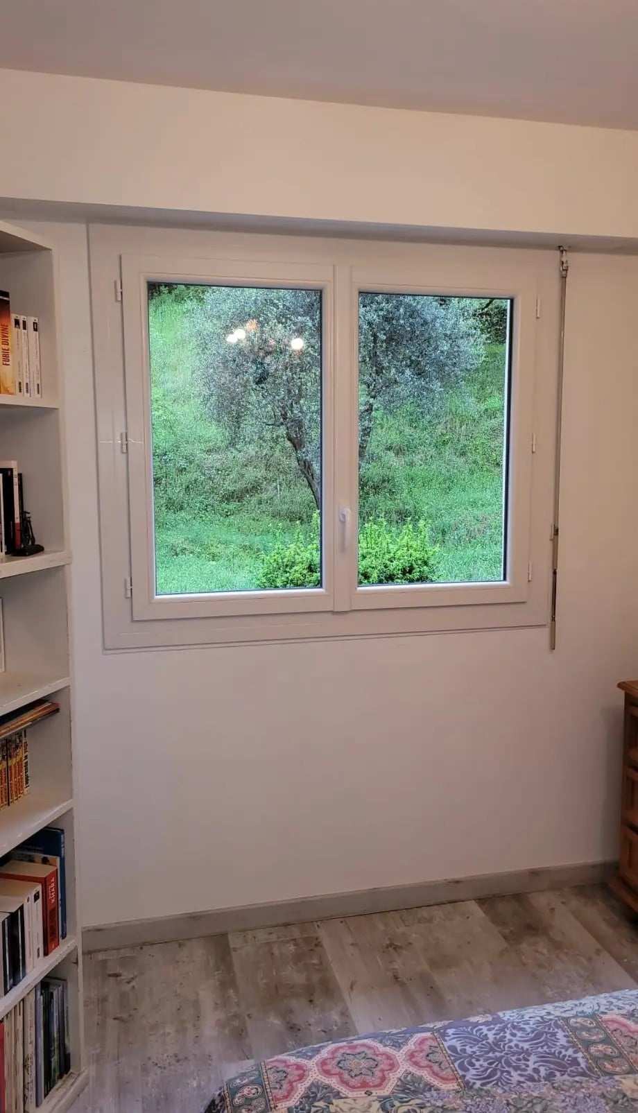 Intérieur lumineux avec fenêtre double vitrage, vue sur jardin verdoyant et olivier. Sol stratifié clair, bibliothèque blanche, livre "Furie Divine".